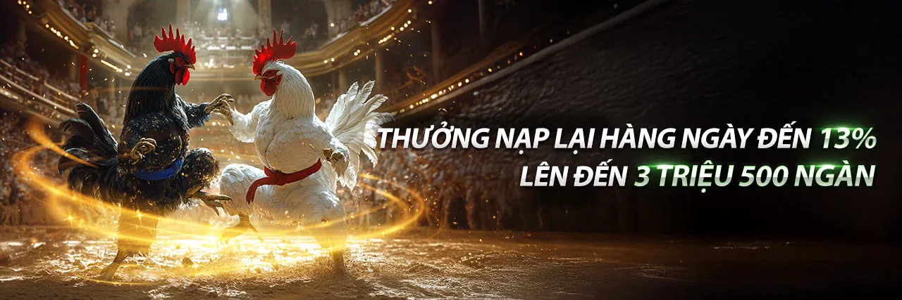 Đá Gà DK88 Chính Thức